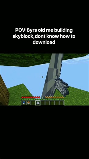 POV:8yrs old me don't know how to download skyblock #minecraft #minecraftshorts