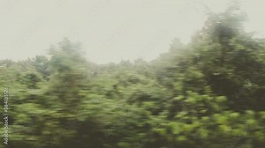 View of the rainforest from the train window, travel by train. Bushes and groves are covered with fog. Thailand in the rainy season