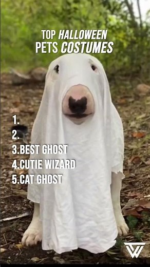 Top 5 Best Pet Costumes for Halloween 2025 🐶🎃 | Cutest & Funniest Ideas