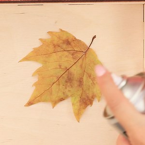 20K views · 183 reactions | 14 DIY Fall Crafts And Hacks / Things To Do In Fall. Full video: https://youtu.be/17OzdOsEH_Y | Troom Troom | Facebook