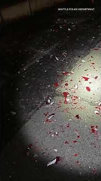 Video shows man smashing $240,000 worth of glass at Chihuly museum