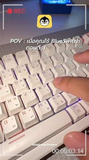POV: เมื่อคุณใช้ Blue Switch ตอนตี3 #bigpenguinตัวจริงเรื่องคีย์บอร์ด #mechanicalkeyboard