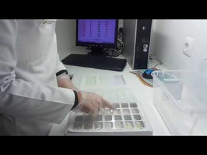 Cómo preparar el SPD Venalink