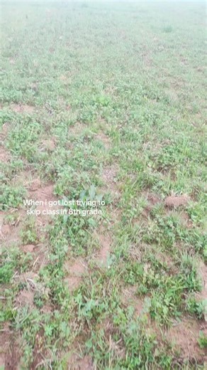 Silient hill reference ?#silenthill #fyp #8thgrade #fypシ #xyzbca | skipping