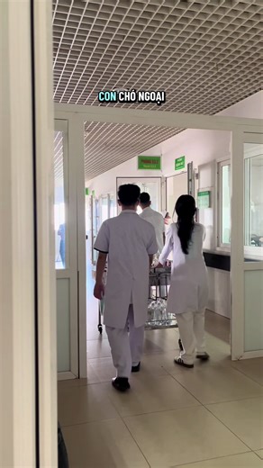 Hành Trình Học Y Dược Để Chữa Bệnh