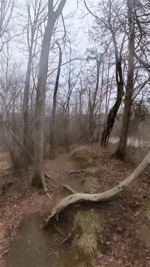 Fred River Trails - Ridgeline Trail 6 Mile Run - Quary Pond