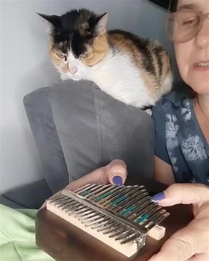 Aprenda a Tocar Kalimba Facilmente com Tutoriais Online