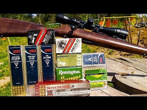 CZ 457 22LR - 100 yard AMMO TEST