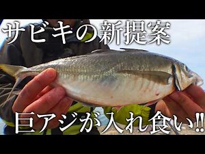 新型サビキで巨アジが連発！日本一尺アジが釣れる釣り公園で交換型サビキを使うとデカアジが入れ食い