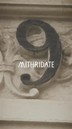 Mithridate on Instagram: "Friday 19th September - 11am BST SS26 collection by Daniel Fletcher"