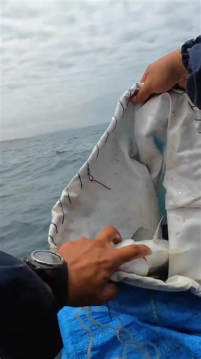 Fishing Morocco: Best Spots & Tips for Fishing in Morocco