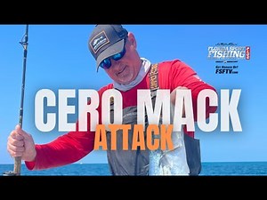 Cero Mackerel Rigs