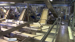 26K views · 215 reactions | Fish processers and producers in Killybegs, Co Donegal, are calling for urgent action to prevent the loss of 450 jobs due to what they describe as the over-interpretation of EU regulations on weighting of fish landed in the port | https://www.rte.ie/news/regional/2022/0401/1289877-killybegs-fish-processors/ | RTÉ News | Facebook