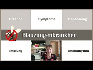 Blauzungenkrankheit - Ursache - Symptome - Behandlung - Impfung - Immunsystem - Fallbeispiel Schafe