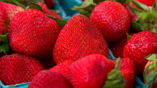 Buncombe county farmers markets return for the spring season