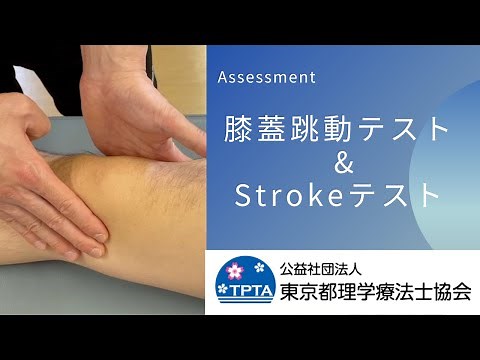 【理学療法動画教材】膝蓋跳動 Stroke test