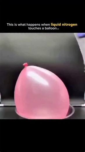 Science Explained | Facts | Liquid nitrogen is nitrogen gas cooled to an extremely low temperature, about −196 °C (−321 °F), until it becomes a liquid. It is... | Instagram