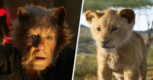 Nichts von "Cats" gelernt: Nächste Realverfilmung mit Tieren in der Hauptrolle - TV SPIELFILM