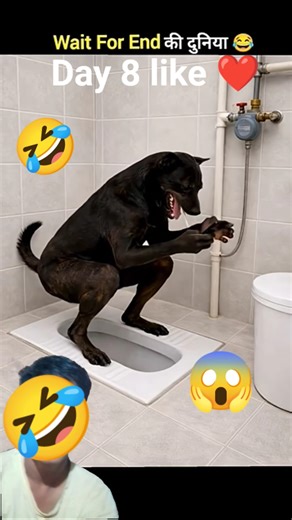 Animals Ke Gajab Karname 😂 wait for twist 😂 part-15 #funny #animals #shorts #comedy #greenscreen #yt