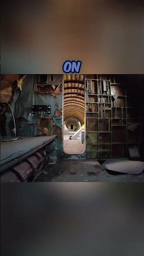 Step into the Forgotten World of Vintage Aircraft #vintageplanes #aviationadventure