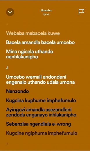 Umcebo: Lyrics and Meaning of Sjava's Hit