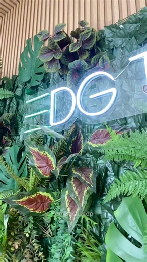 DG Tech | Eletrônicos e Consertos on Instagram: "DGTECH a sua loja de tecnologia agora está no centro de louveira também! DGTECH é o paraíso da tecnologia, com tudo, desde smartphones até gadgets para casa. Se você adora tecnologia, precisa conferir! 🖤👩🏻‍💻 Endereço: Rua Armando Steck, 355 - Centro de Louveira 📍"