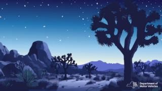 3.7K views · 15 reactions | Get your REAL ID – with the STAR in the upper right corner – before you’ll need it to fly within the U.S., starting May 7th. You can also use an Enhanced ID or a passport. Learn more: https://dmv.ny.gov/driver-license/enhanced-or-real-id #NYSDMV #NYSDMV #REALID | New York State Department of Motor Vehicles | Facebook