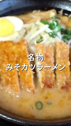 【みそカツラーメン】高知県の美味しいご飯が最高だったひとり旅【#四国グルメ】 #shorts #ご当地グルメ