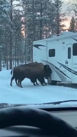natural_barnd.ai on Instagram: "Japan is turning footsteps into electricity using piezoelectric tiles. Every step creates a small amount of energy, and millions of steps together power LED lights and digital systems-supporting a more sustainable urban future.⚡✨ ‎ ‎ #Japan #Future Technology #RenewableEnergy #SmartCity #Innovation 🌱"