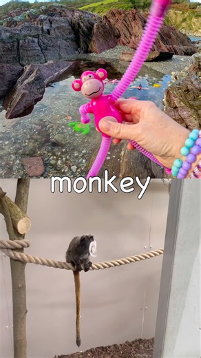 Kids Learn | Animal Names: Capybara Red Panda Monkey Camel Owl #HolidaysWithYouTube