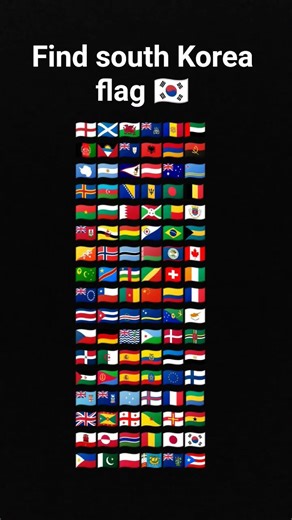 find south Korea flag 🇰🇷