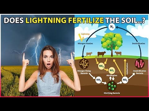 Why LIGHTNING is good for AGRICULTURE: Does Lightning Fertilize Soil?