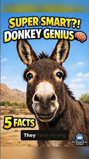 Donkeys Have Incredible Memories?! l Why Donkeys Are Survival Geniuses