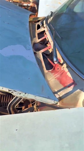 Renew ta me! #biscayne #automobile #cartok #barnfind #yardart