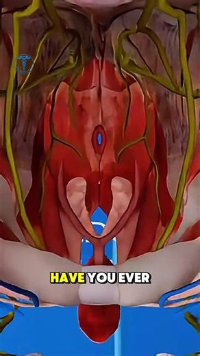 Drx Nishant Pal on Instagram: "Endometrial Biopsy Procedure Medical 3D Animation. #EndometrialBiopsy #BiopsyProcedure #GynecologyCare #WomenHealth #EndometrialHealth #UterusCare #OBGYNLife #MedicalProcedure #PathologyTest #ClinicalDiagnosis"