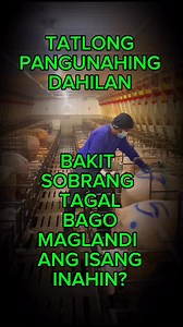 166K views · 4.8K reactions | Bakit Sobrang Tagal? #pig #swine #pork #baboy #porcine #production #efficiency #agriculture #business #farming #farmlife #veterinarian #fb #fbvideo #buhayOFW #youtube #technician @topfans | Doc.Bench FarmTv | Facebook