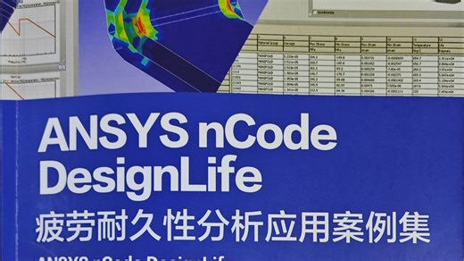 Ansys ncode Designlife