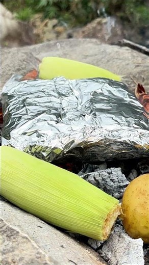 The Juiciest BBQ Ribs in the Wild! 🍖🔥 #asmr #cooking