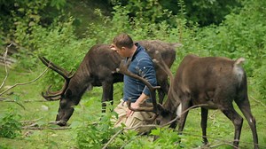 9.7K views · 242 reactions | Jeff Corwin shares his passion for adventure and the secrets of the wilderness of Alaska, including the diverse wildlife such as grizzly bears, wolves, caribou, moose, and Dall sheep, and highlights opportunities for observing these animals. . . #princesscruises #loveprincess #jeffcorwinsalaska | Princess Cruises | Facebook