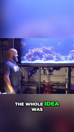 Simple Aquarium Setup - Easy Cleaning & Water Flow! #worldwidecorals #fromourreeftoyours #aquarium
