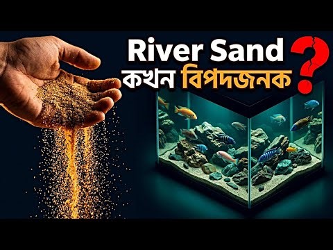 একুরিয়ামে লাল বালি | River Sand Aquarium Setup | pH, Algae ও Fish Guide