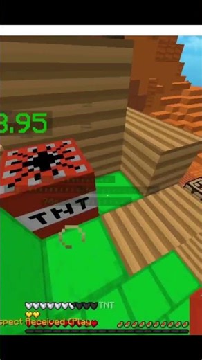 Minecraft Bruhh Momemt