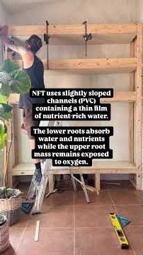 DIY Vertical Indoor Aquaponic Garden (Hydroponics with Fish) Grown from a goldfish aquascape and NFT