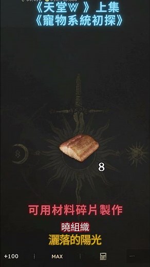 🐶⚔️【天堂W】寵物系統懶人包｜抓、養、進化一次看懂上集! #shorts #鑽石挑戰 #天堂w