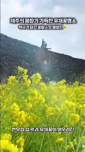 Be sure to visit Byeolbangjin on your East Jeju travel itinerary 🌼