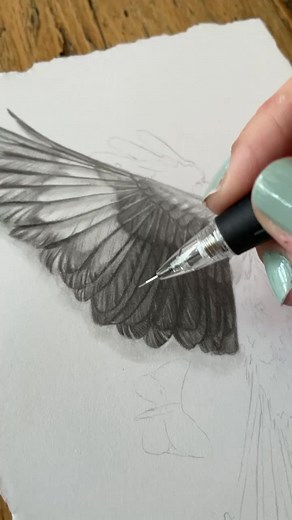 Dead Bird Drawing: Exploring Skeletal Anatomy in Art