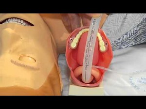 Laryngeal Mask Airway