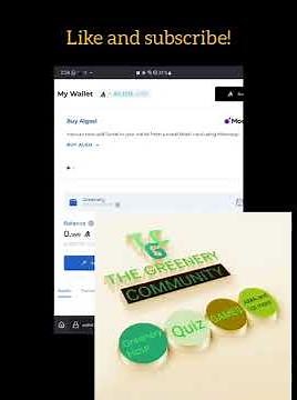 My Algo wallet (Beginners' Guide)