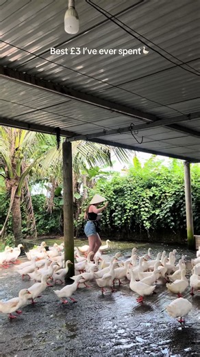 Exploring Phong Nha: The Best Morning Experience