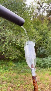 70K views · 79 reactions | Easy bird repeller | Crafty Panda How | Facebook